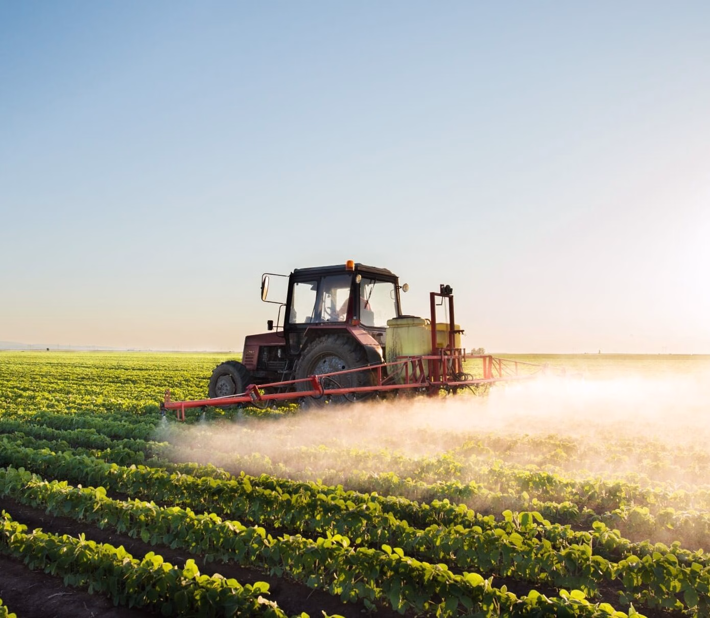 Crop Protection