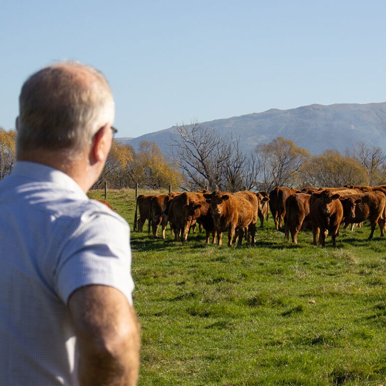 Farming services | Agronomy & repairs | Highland Agri Solutions